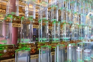 宝贝天堂展示